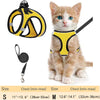 Un pequeño gatito atigrado naranja vistiendo un arnés amarillo y sosteniendo una correa negra.
