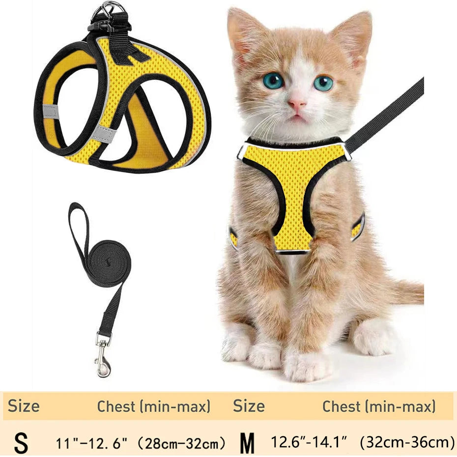 Un pequeño gatito atigrado naranja vistiendo un arnés amarillo y sosteniendo una correa negra.