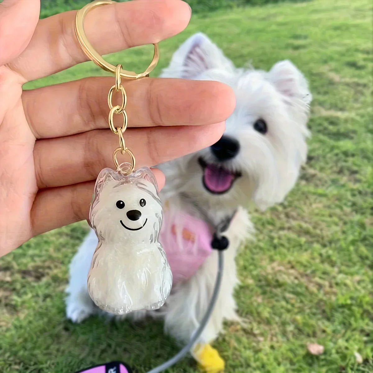 A transparent pet hair memorial keychain featuring a dog silhouette is held in a hand against a green outdoor background.