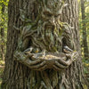 A resin tree hugger feeder shaped like a tree trunk holds small birds in an outdoor garden setting.