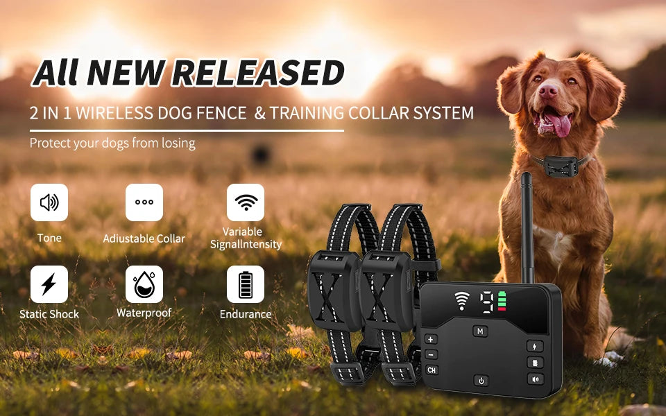 A brown dog stands next to a black dual function wireless dog fence and training collar system.