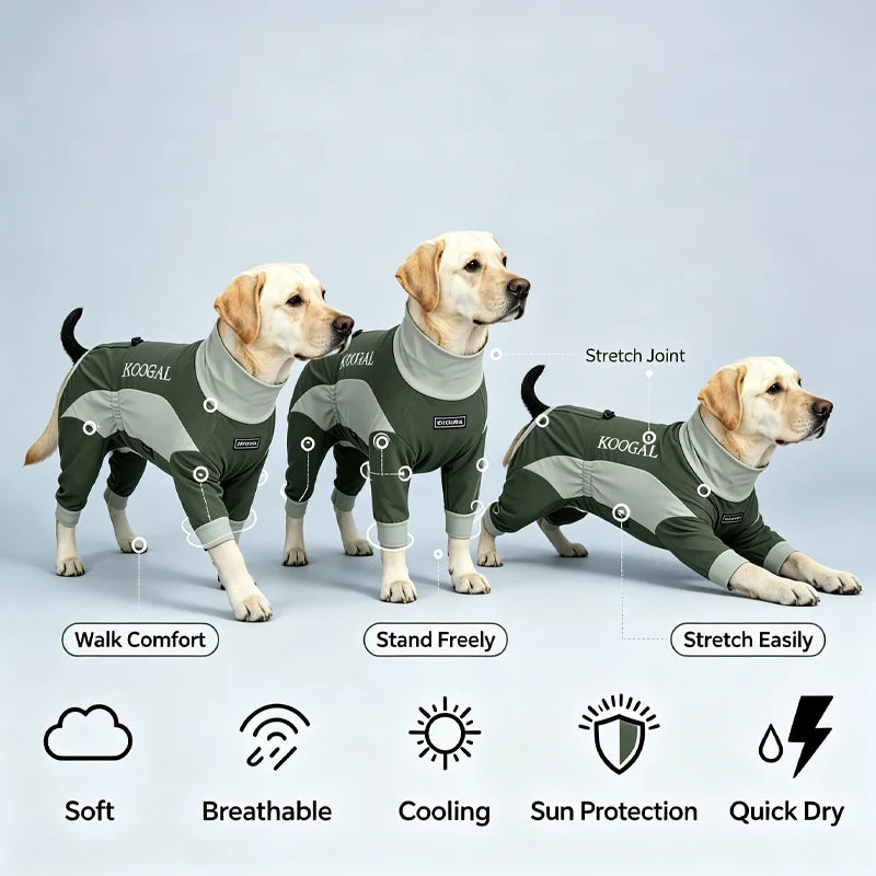 Three golden retriever dogs wearing olive green cooling dog suits demonstrating various activities like walking and stretchin