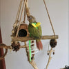 A wooden bird training harness and leash set with a small wooden birdhouse hanging from natural branches.