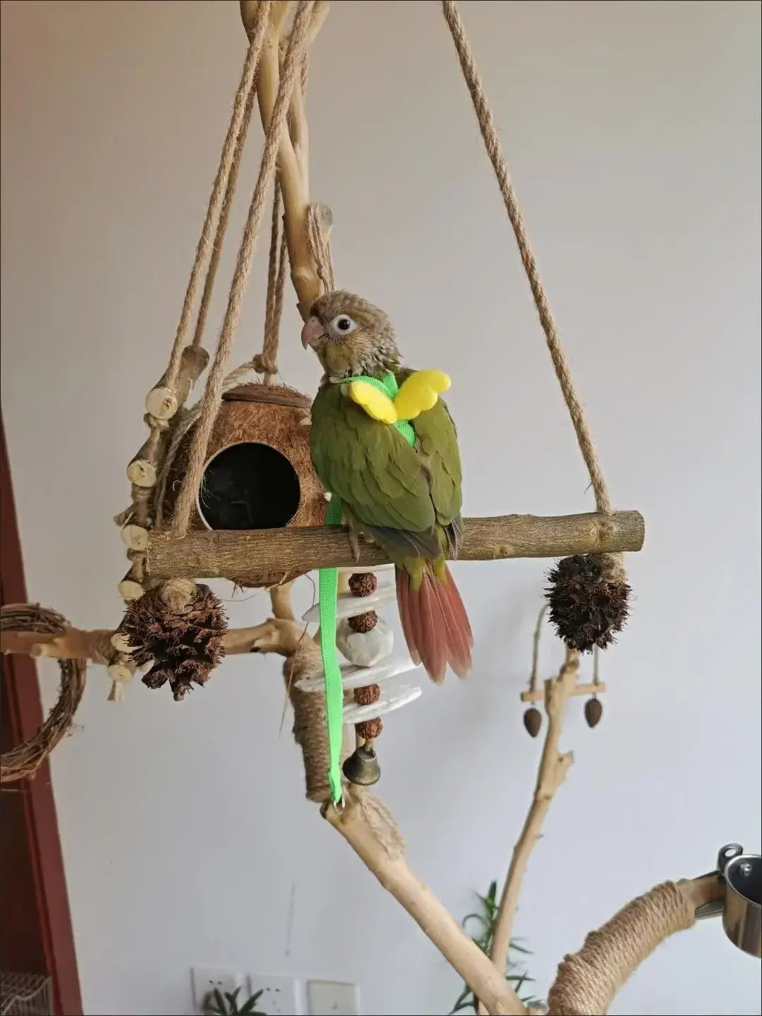 A wooden bird training harness and leash set with a small wooden birdhouse hanging from natural branches.