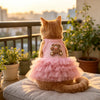 An orange tabby cat wearing a pink fluffy skirt sitting on a light-colored surface with a blurred city view in the background