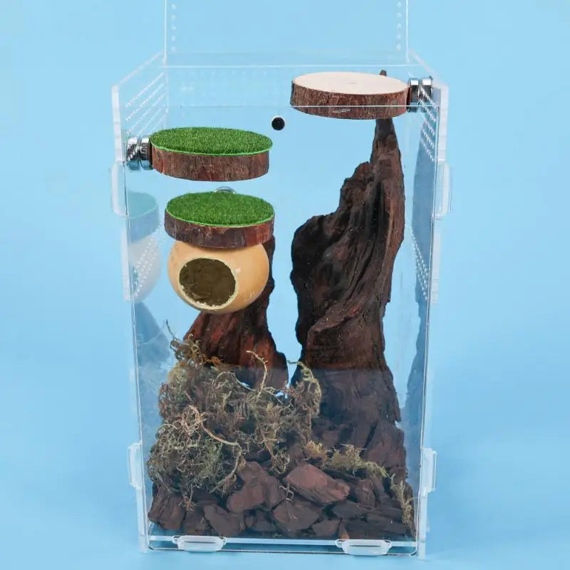 A clear acrylic display box featuring a miniature magnetic spider hide decoration with moss and wood elements.