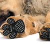 A close-up of a dog's paw with black anti-slip grips attached for traction.