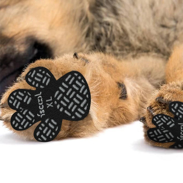 A close-up of a dog's paw with black anti-slip grips attached for traction.
