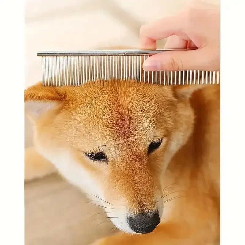 A close-up of a dog's face looking down while a metal grooming comb is positioned above it.