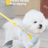 A white poodle wearing a yellow striped dog harness and leash set.