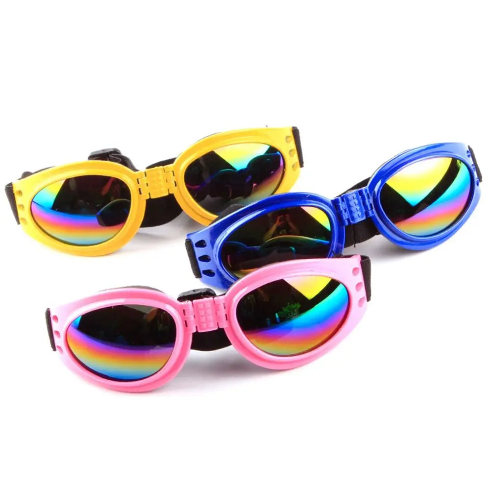 Set bunter Haustier-Sonnenbrillen mit Regenbogenlinsen in Gelb, Blau und Pink