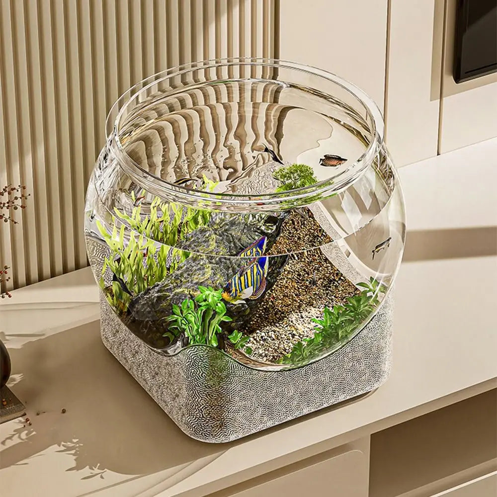 Un aquarium en verre clair rempli de sable et de plantes aquatiques, exposé sur une étagère de couleur claire.