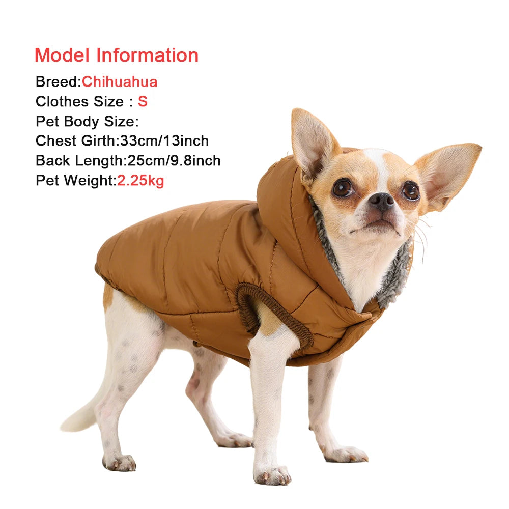 A small Chihuahua dog wearing a brown, hooded jacket.
