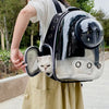 Una persona lleva una mochila transportadora transparente con un gato dentro, al aire libre.