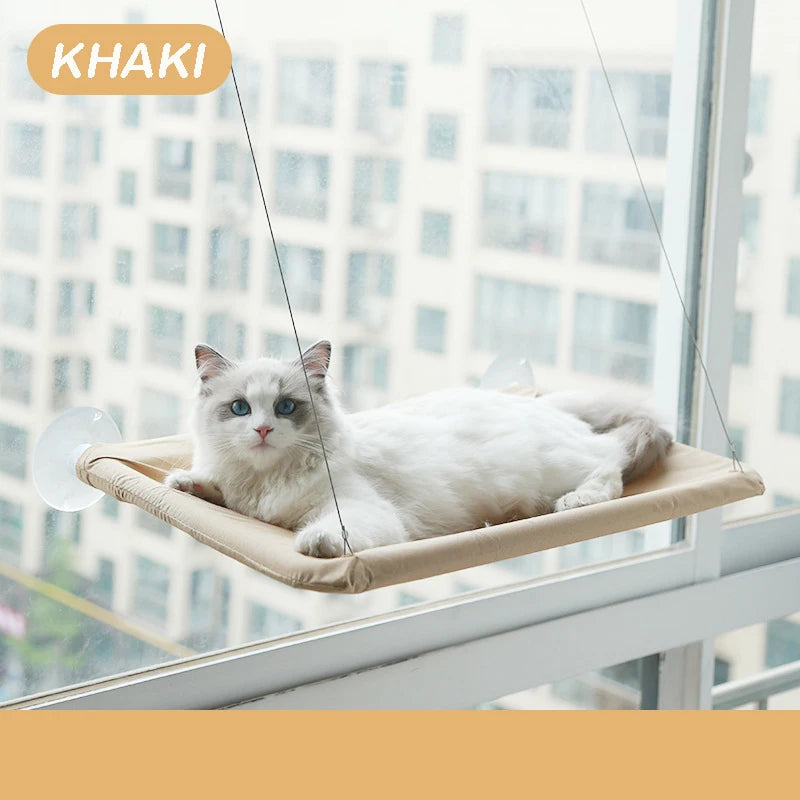 A white cat is relaxing on an aerial hammock pet bed suspended in a bright indoor setting.