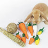 Ein flauschiges braunes Kaninchen neben verschiedenen natürlichen Kauzubehör, darunter ein geflochtener Seil und Karottenförm