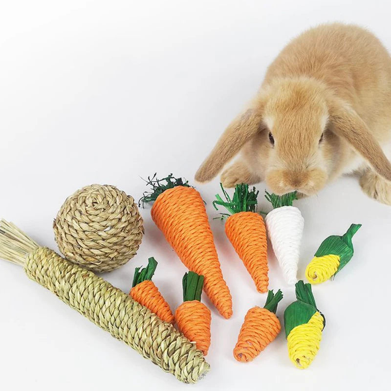 Ein flauschiges braunes Kaninchen neben verschiedenen natürlichen Kauzubehör, darunter ein geflochtener Seil und Karottenförm