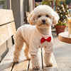 A fluffy beige waffle knit dog sweater with a red bowtie is displayed on a wooden surface.