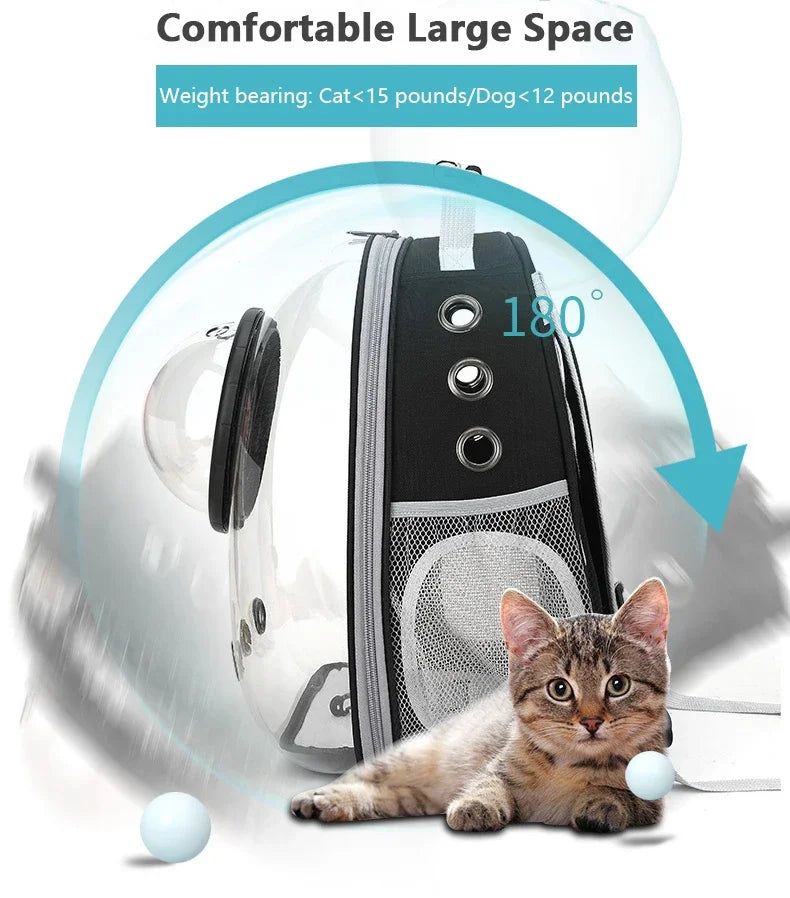 A transparent pet carrier backpack is shown with a cat resting inside, demonstrating its large space and 180-degree opening.