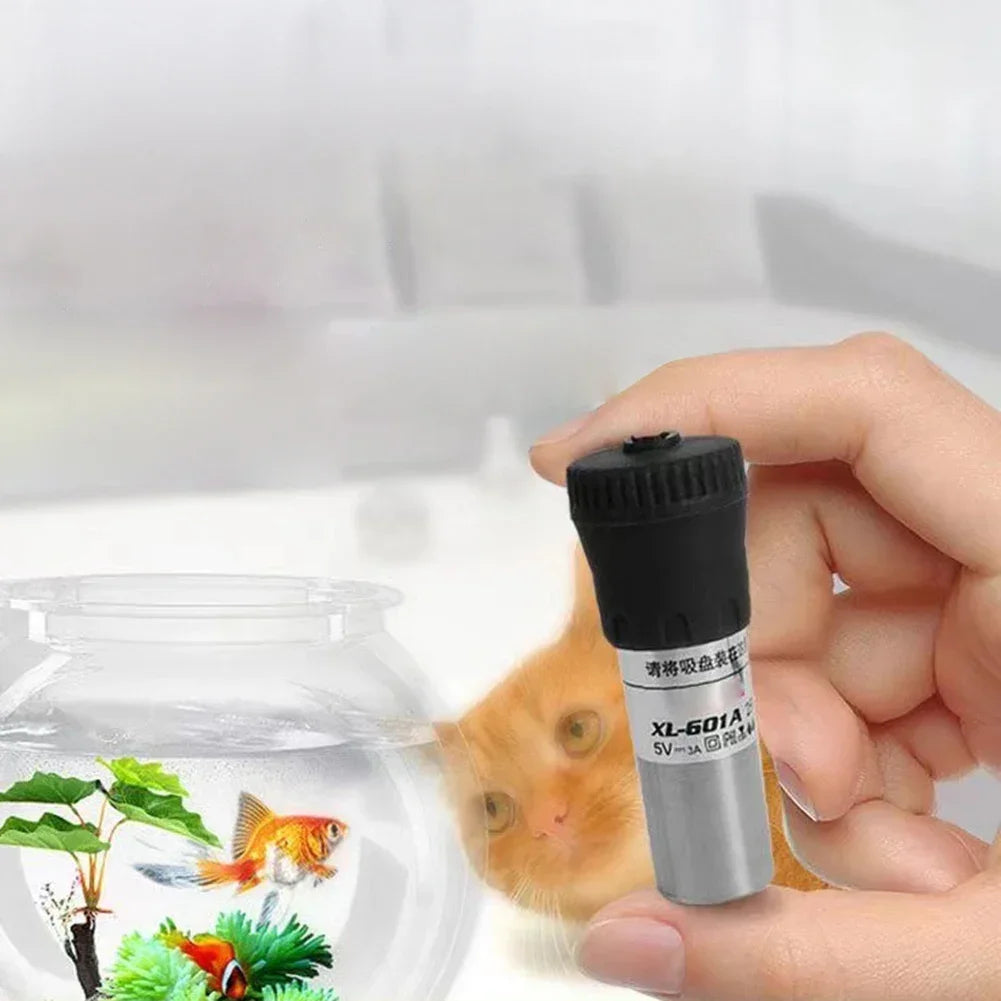Una mano sostiene un calentador de acuario USB ajustable XL-601A con un pequeño gatito naranja mirando desde el tanque.