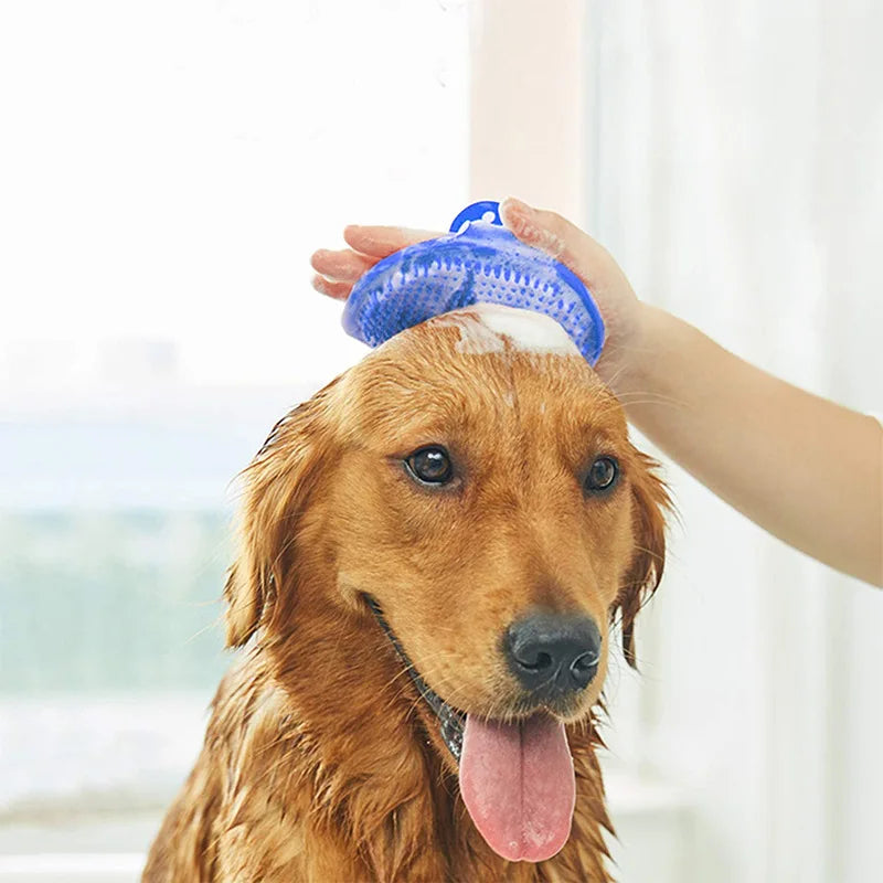 A golden retriever dog is being groomed with a blue soft rubber pet grooming brush on its head.