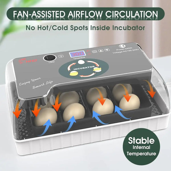 Incubateur à œufs gris avec ventilation assistée et contrôle de température.