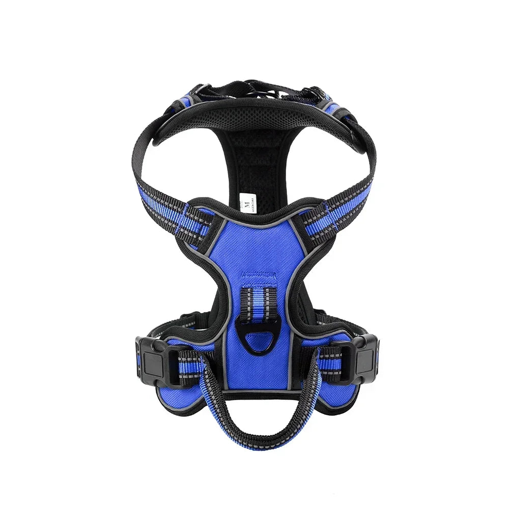 Blaues und schwarzes, verstellbares reflektierendes Hundehalsband-Vest für einen Hund.