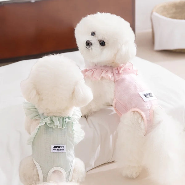 A fluffy white dog wearing pink ruffled fashion shorts.