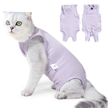 A fluffy gray cat wearing a lavender veterinary recovery suit with a checkered pattern.