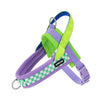 A purple and lime green adjustable dog harness and leash set with a green padded collar.