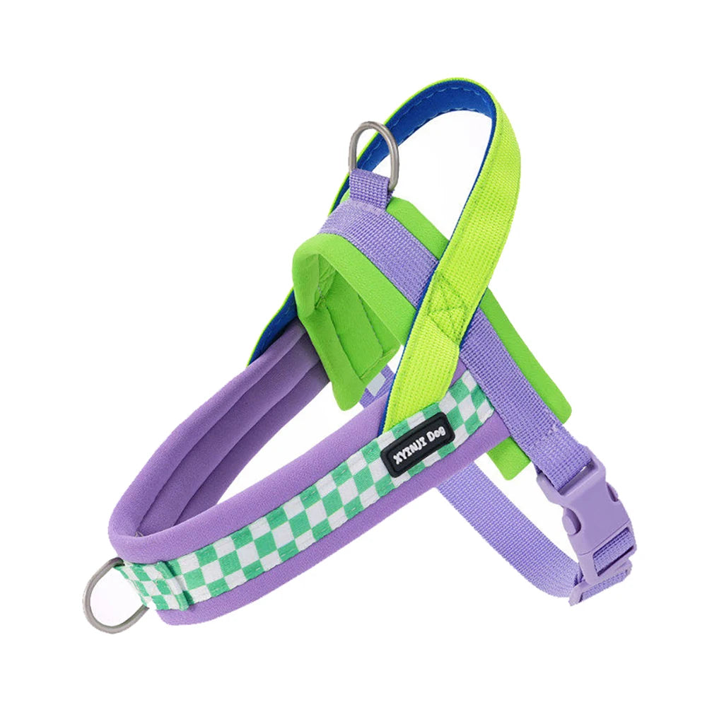 A purple and lime green adjustable dog harness and leash set with a green padded collar.