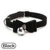 Collar para mascota de lazo de terciopelo negro con herrajes plateados en una correa ajustable negra.
