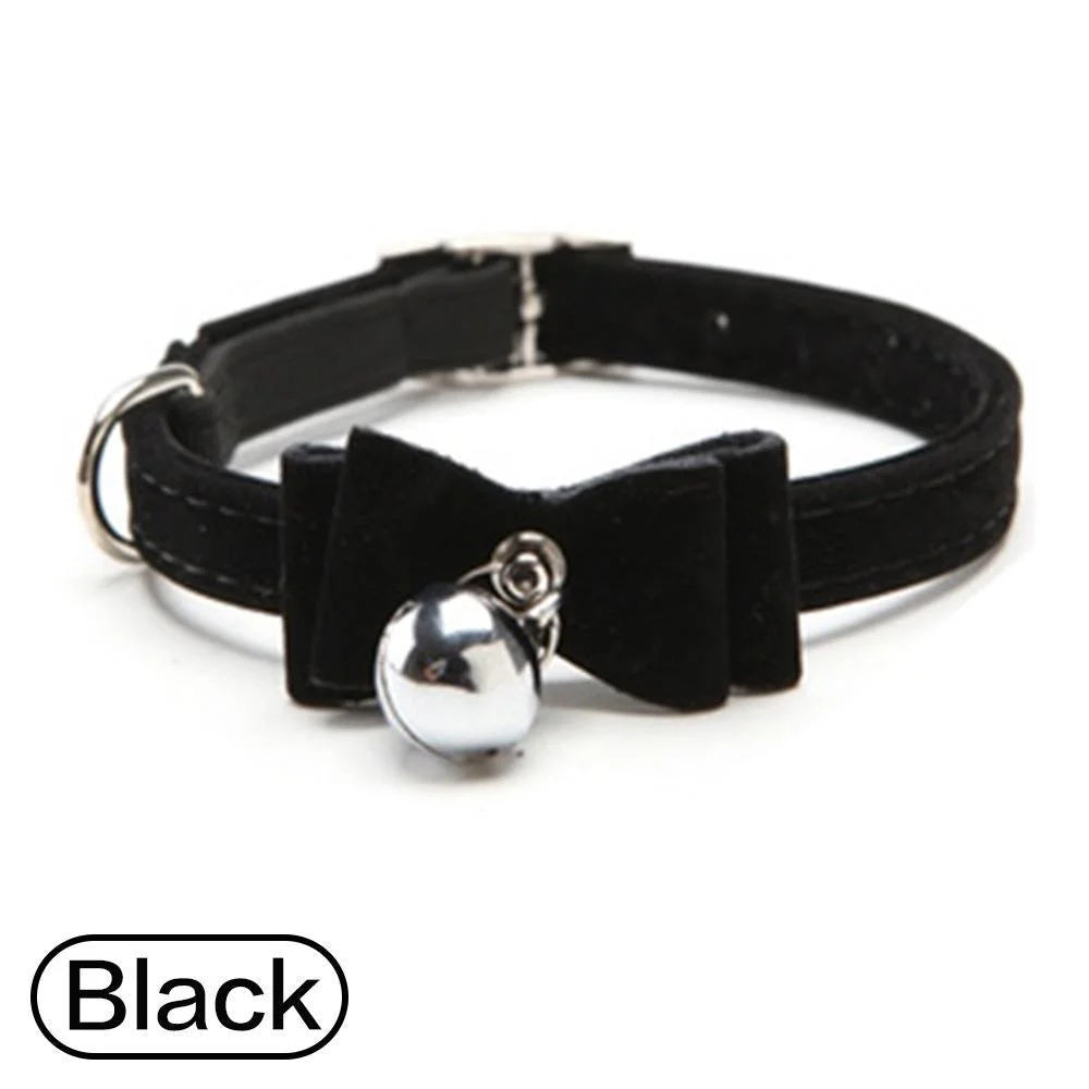 Collar para mascota de lazo de terciopelo negro con herrajes plateados en una correa ajustable negra.