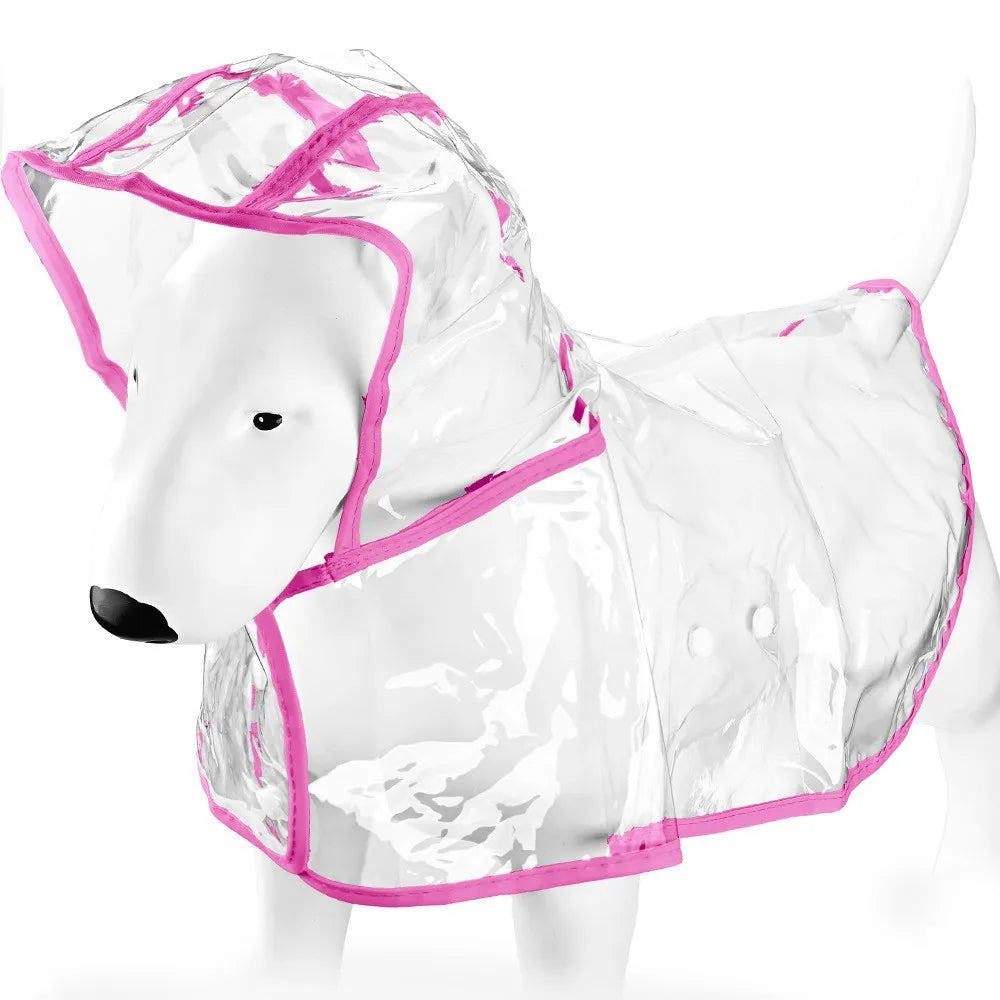Un chien blanc modèle portant un imperméable en plastique transparent avec des bordures roses.