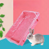 Eine graue खरgos sitzt neben einer rosa Einweg-Tierkäfigdecke.