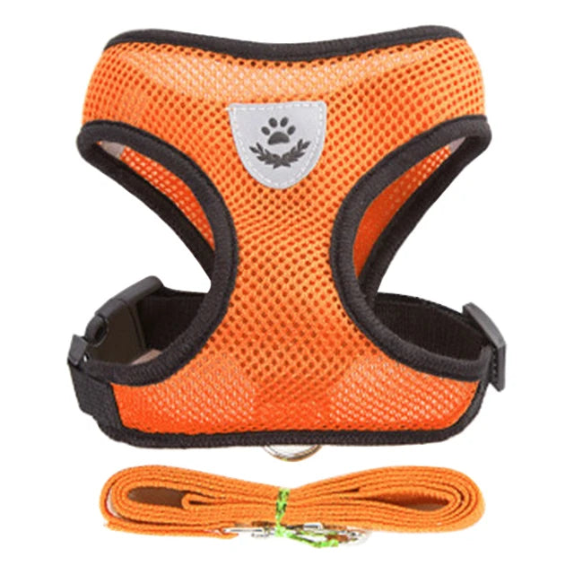Orange pet harness and leash set for dogs and cats with a paw print emblem