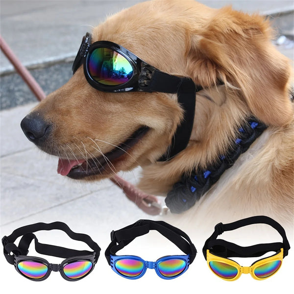 A golden retriever wearing a black foldable pet sunglasses with rainbow lenses and a blue pair.