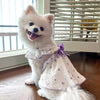 Un chien blanc et duveteux portant une robe de compagnie rose transparent avec des bordures violettes à motifs de cœur.