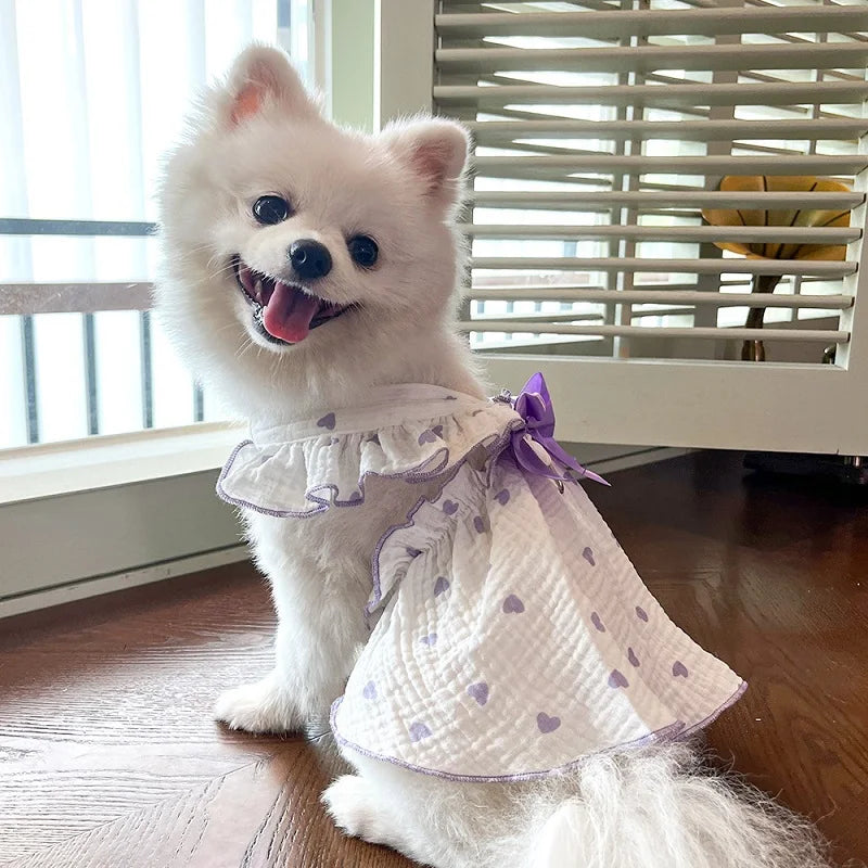 Un chien blanc et duveteux portant une robe de compagnie rose transparent avec des bordures violettes à motifs de cœur.