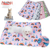 A colorful washable pet training mat featuring rainbows, clouds, and various patterns for dogs.