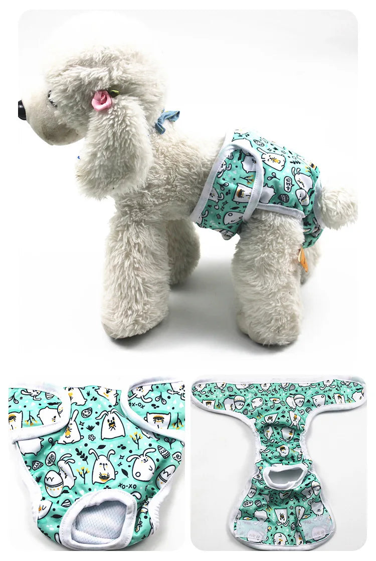 A light gray poodle wearing a reusable female dog physiological panty with a floral pattern.