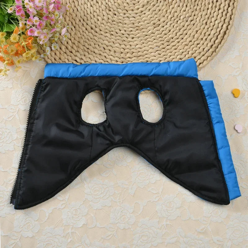 Black padded dog coat jacket with blue trim lying on a light textured surface.
