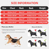 Size information chart and diagrams showing measurements for a dog swimming life jacket.