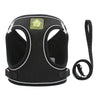Black mesh dog harness with reflective strips and a black leash