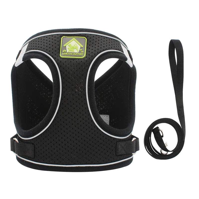 Black mesh dog harness with reflective strips and a black leash
