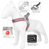 A white dog model wearing a gray harness vest with a D-ring and a multi-functional ring feature.