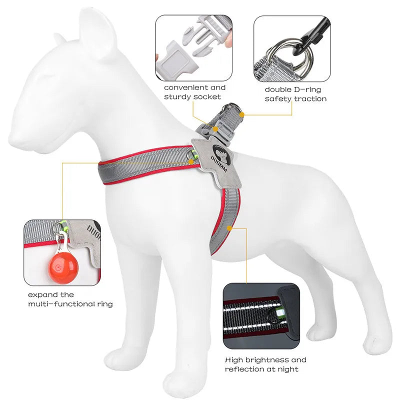 A white dog model wearing a gray harness vest with a D-ring and a multi-functional ring feature.