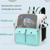 A light blue ventilated cat carrier backpack with a mesh window and hidden storage compartments.