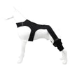 Black pet joint support and rehabilitation tool worn on a white mannequin.