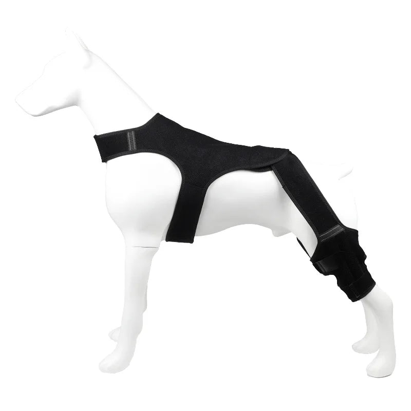 Black pet joint support and rehabilitation tool worn on a white mannequin.